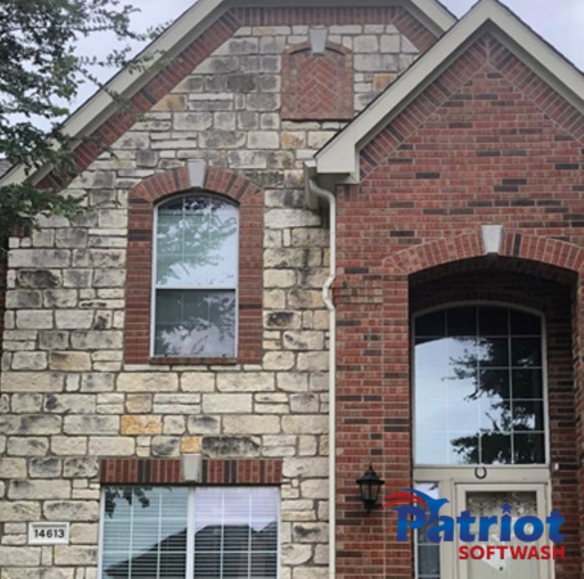 Austin Stone Brick Wall Pathway Before - Patriot SoftWash