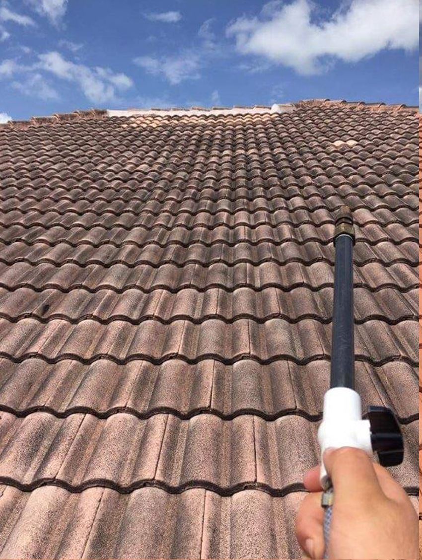 Clay Tile Roof - Detailed Before - Patriot SoftWash