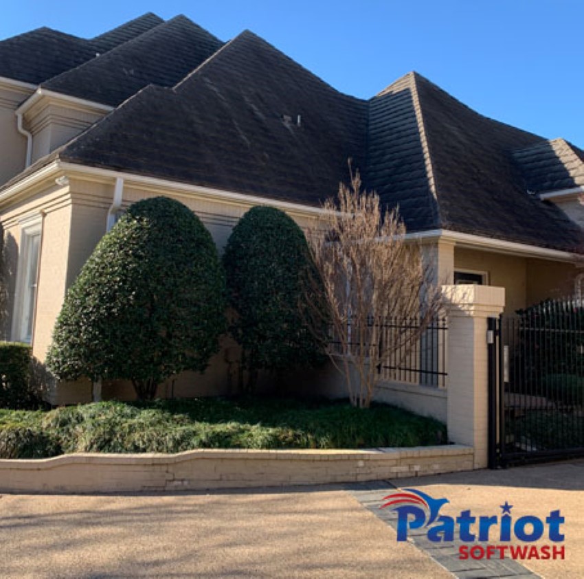Patriot Softwash Large Family House Before - Patriot SoftWash