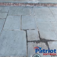 Concrete-Slate Pathways Before - Patriot SoftWash