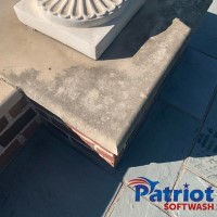 Pre-Cast Column Before - Patriot SoftWash