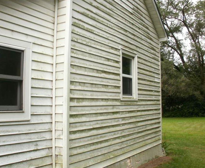 Vinyl Siding (Mold Removal) Before - Patriot SoftWash