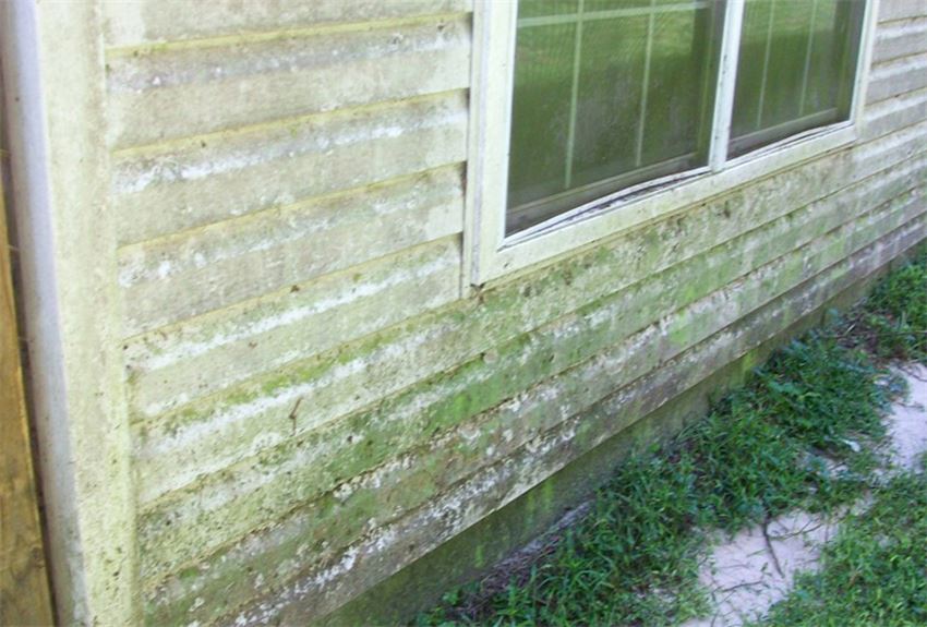 Vinyl Siding (Mold Removal - Detailed) Before - Patriot SoftWash