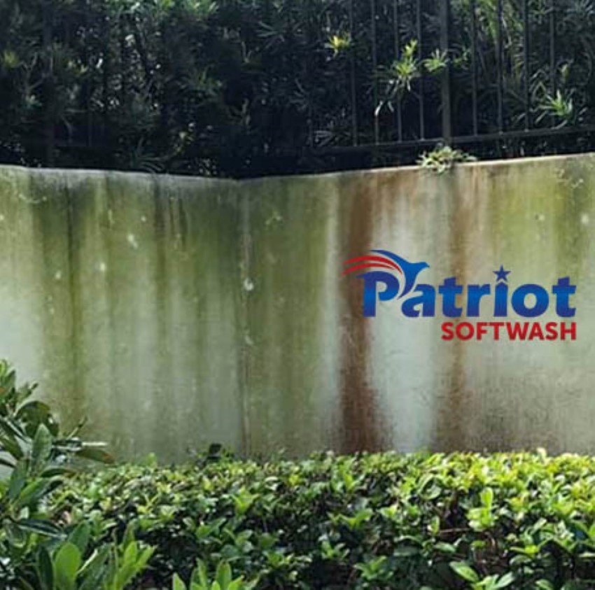 Wall Fence Before - Patriot SoftWash